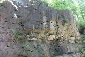 Read more about the article APGO EDUCATION FOUNDATION AWARDS ANNUAL SCHOLARSHIPS FOR 2023