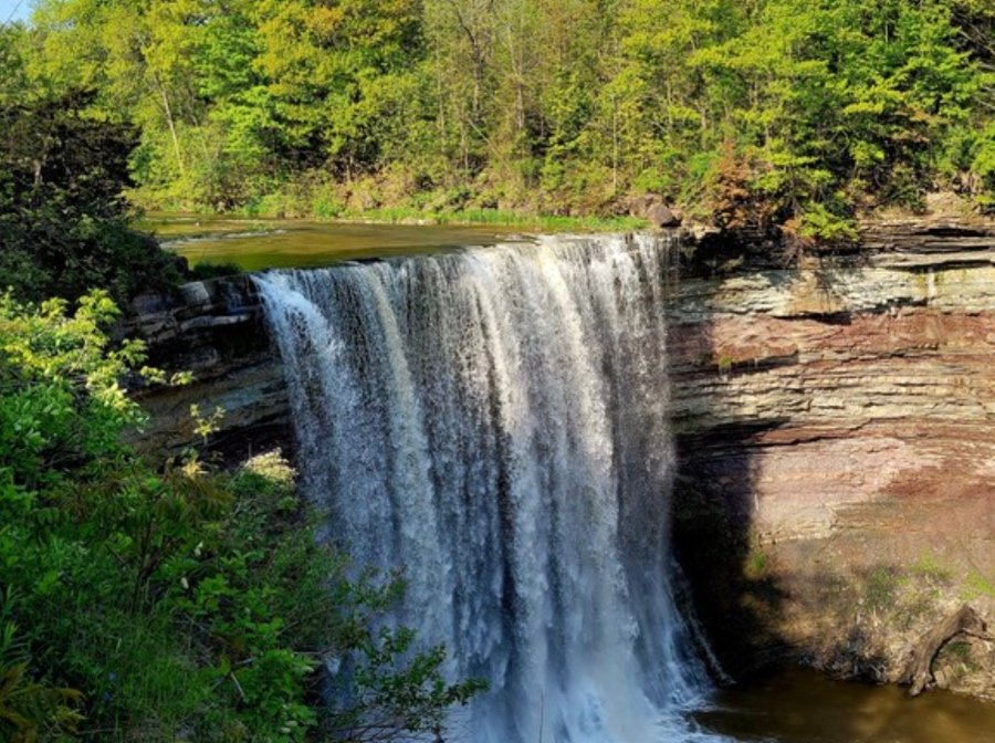 Read more about the article Bruce Trail Conservancy and APGO Education Foundation celebrate the launch of GeoHikes in time for March Break